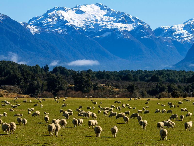 Best of Australia & New Zealand Grand Tour